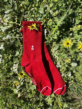 Load image into Gallery viewer, Pocket Sock - Red